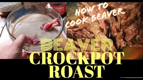 Beaver Crock Pot Roast, cooking beaver in the crock pot slow cooker ...