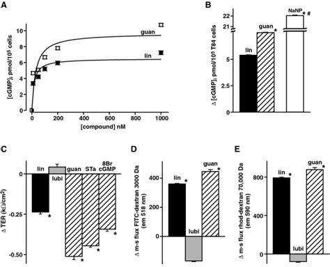 Effects of active linaclotide and guanylin on T84 cells: (A ...