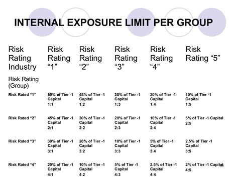 Risk management & basel ii