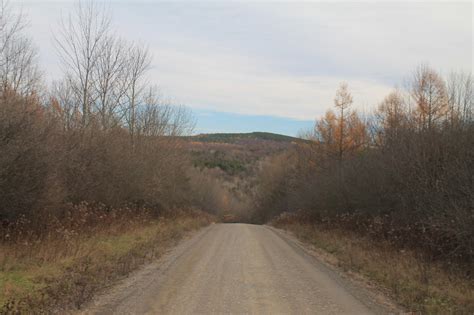 Photo: Sugar Hill Road | Andy Arthur.org