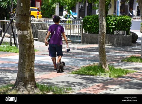 Old lady walking dog hi-res stock photography and images - Alamy