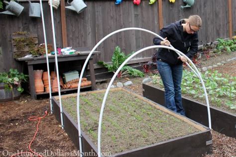 How to Build a Small Poly Tunnel - One Hundred Dollars a Month