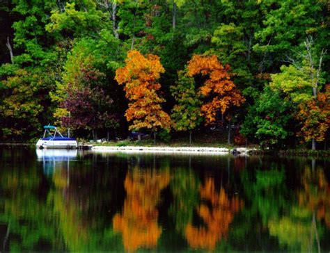 You'll Be Happy To Hear That Missouri's Fall Foliage Is Expected To Be Bright And Bold This Year ...