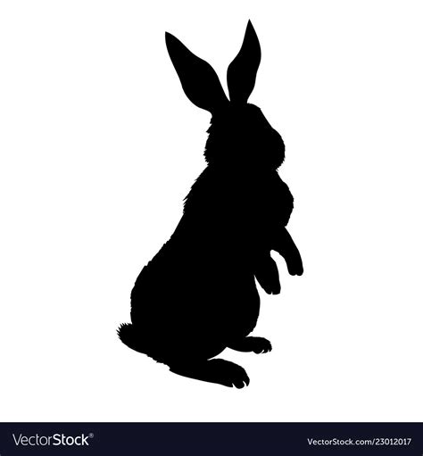 Bunny Silhouette