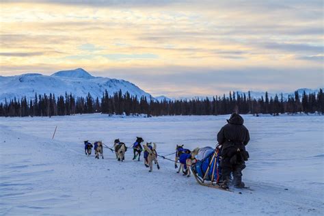 Alaska Winter Vacation; Winter Tours in Alaska: Northern Lights Viewing