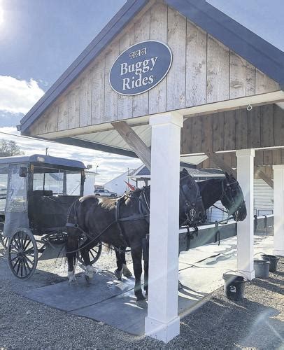 Tourists Enjoy a Ride on an Amish Buggy | Horse News and Equine Events ...