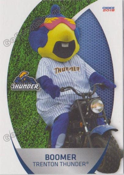 2018 Trenton Thunder Boomer Mascot – Go Sports Cards