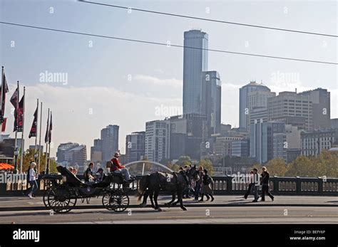 Horse drawn landau carriage crossing hi-res stock photography and images - Alamy