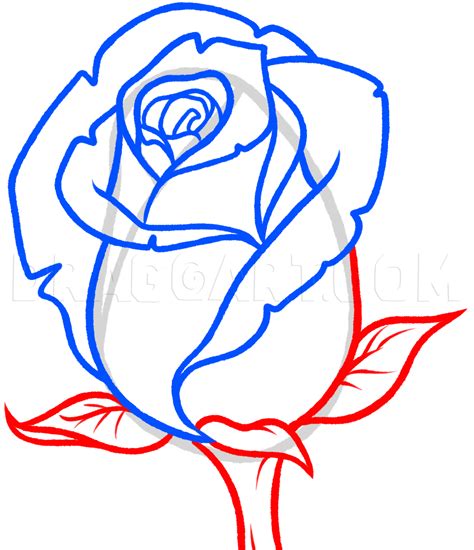 Rose Outline Drawing, Rose Art Drawing, Rose Drawing Simple, Rose ...