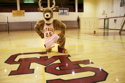 Stag (Claremont-Mudd-Scripps) | SportsMascots Wikia | Fandom