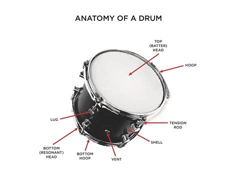 Drum Kit Diagram