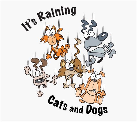 Raining Cats And Dogs , Free Transparent Clipart - ClipartKey