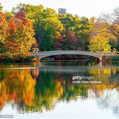 2,115 Central Park Bridges Stock Photos, High-Res Pictures, and Images ...