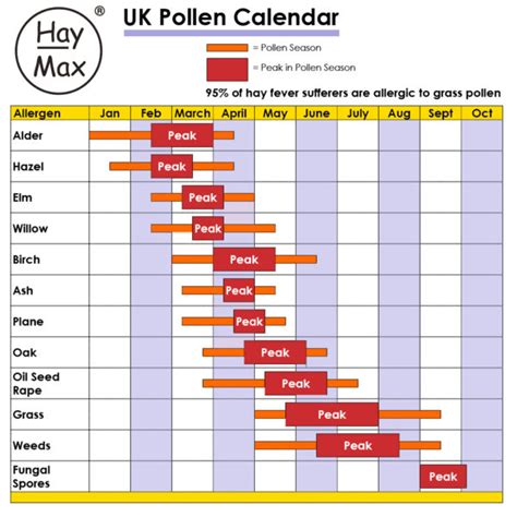 Practical tips for hay fever, dust and pet allergy sufferers - HayMax