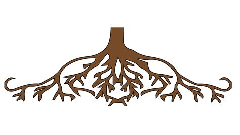 Roots clipart root crop, Picture #1994668 roots clipart root crop
