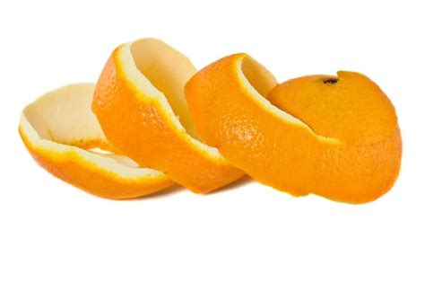 Orange peel,usage peel orange | Clipart Panda - Free Clipart Images