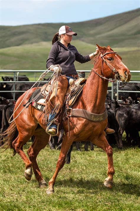 Pin on Western in 2024 | Rodeo life, Cowgirl and horse, Horses