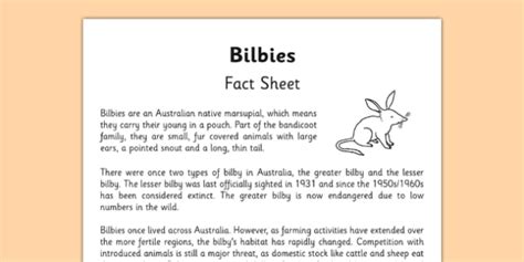 Bilbies Fact Sheet - australia, bilby, bilbies, Australian