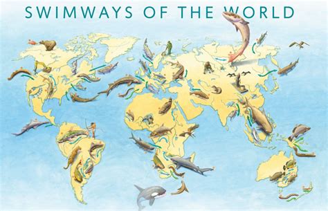 Global Swimways – Fish Migration around the globe