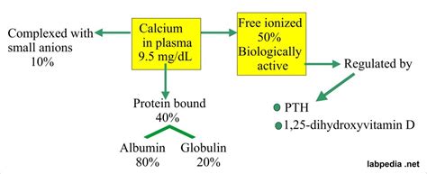 Calcium ionized (Ca), Free Calcium Part 2 – Labpedia.net