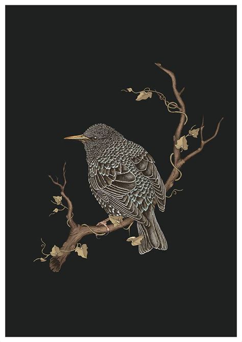 Wildlife Art, Animal Poster, Bird Poster, Home decor, Wall art Bird ...