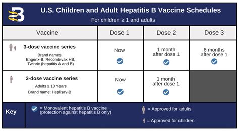 Hepatitis B Foundation: Hepatitis B Vaccine Schedules