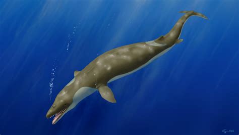 Basilosaurus. by Plioart on DeviantArt