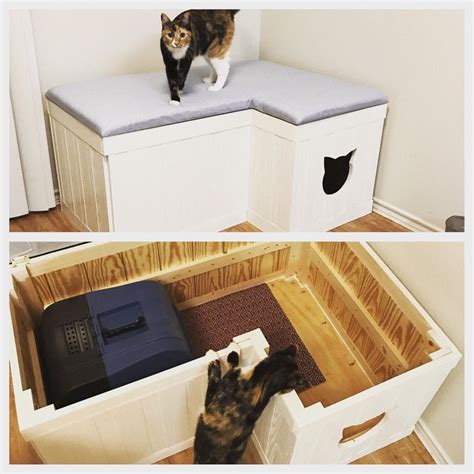 Hidden Cat Litter Box Diy Tiktok / DIY Hidden Litter Box Solution ...