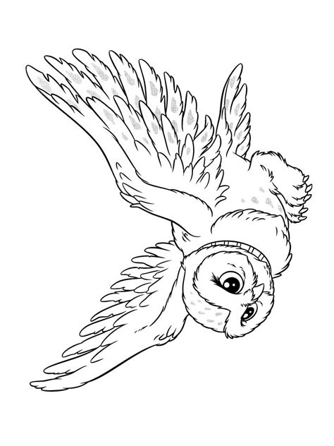 Harry Potter Snowy Owl Coloring Page - K0nem