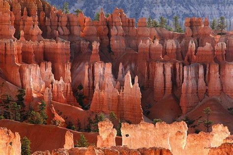 Hoodoo Sunrise Bryce Canyon Photograph by Winston Rockwell - Fine Art America