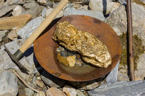 Gold Nugget Mining from the River Stock Photo - Image of alaska ...