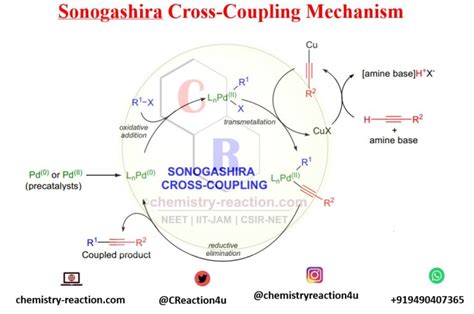 Sonogashira Cross-Coupling Reaction Mechanism