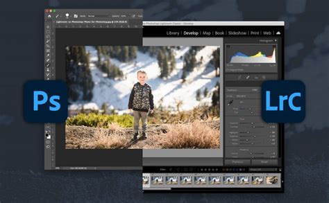 Lightroom vs Photoshop: Which Is Best for You? - Adorama