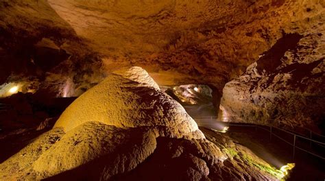 Camuy River Cave Park in Camuy | Expedia