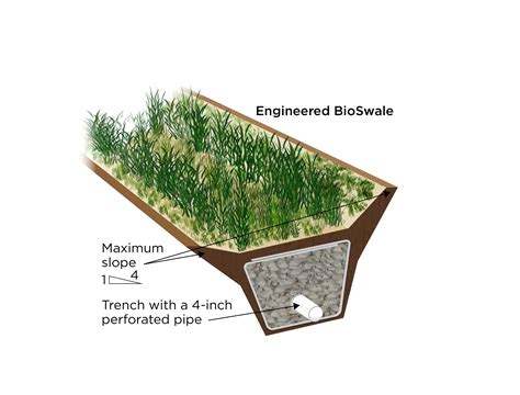 Drainage Swale Design