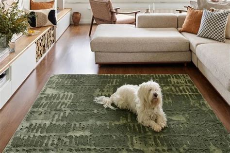 Shop the 12 best brands for machine washable rugs in 2023