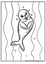 Seal Coloring Sheet sketch template
