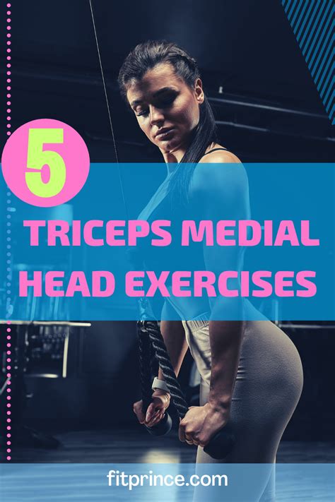 Top 5 exercises for the triceps medial head – Artofit