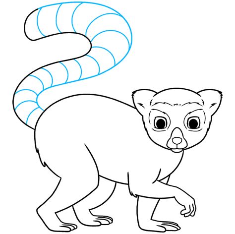 How to Draw a Lemur - Really Easy Drawing Tutorial