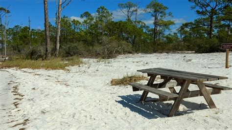 St. George island State Park - Primitive camping | State parks, State parks in florida, Island park