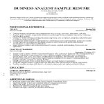 Professional Business Analyst Resume | Business templates, contracts and forms.