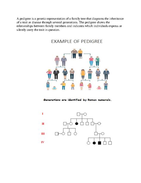 2 Basic Pedigree Symbols Genetics - A pedigree is a genetic representation of a family tree that ...