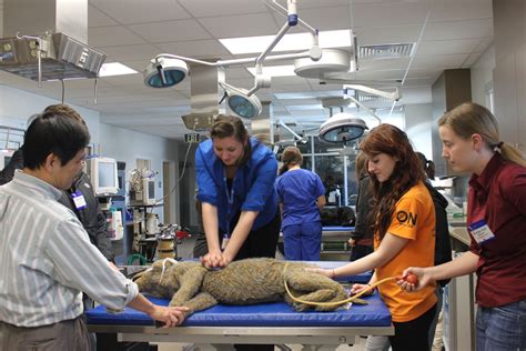 Hundreds of pre-vet students visit UF for symposium » The Veterinary Page - College of ...