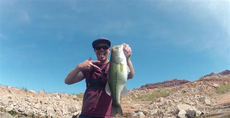 Fishing Lake Powell - Largemouth and Smallmouth Bass Epicness! - Kraken Bass