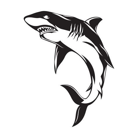 Shark Silhouette Vector illustration - Black and white Shark clipart 14290214 Vector Art at Vecteezy