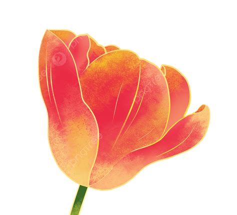 Spring Flowers Blooming Tulips, Spring, Blooming Flowers, Flowers PNG ...