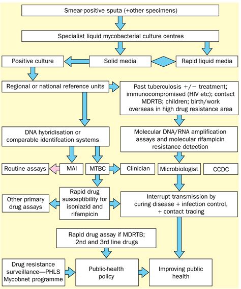 Modern laboratory diagnosis of tuberculosis - The Lancet Infectious Diseases