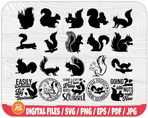 Squirrel Svg Squirrel Silhouette Squirrel Clipart Vector - Etsy