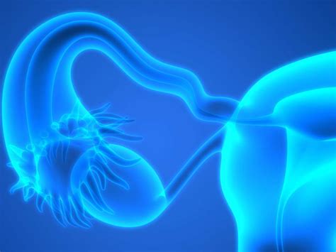 Salpingo-oophorectomy: Overview, procedure, and recovery