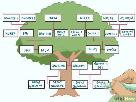 Blank Family Tree With 3 Siblings